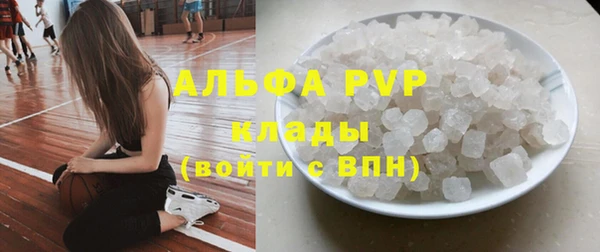 экстази Бородино