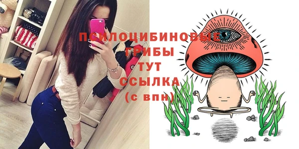 гашик Волоколамск