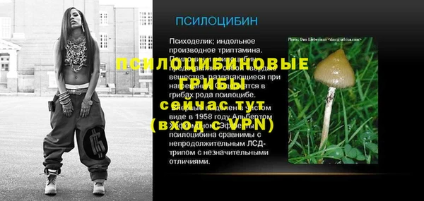 ешки Верхний Тагил
