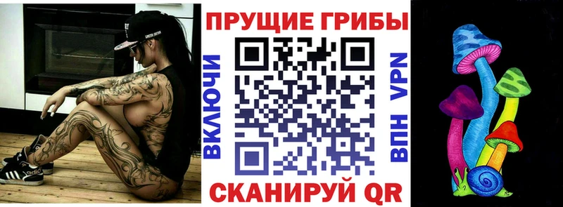 где купить наркотик  Инта  Галлюциногенные грибы MAGIC MUSHROOMS 